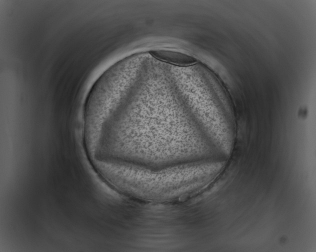 X0000101141520200807181243