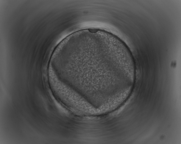 X0000101141521200807181243