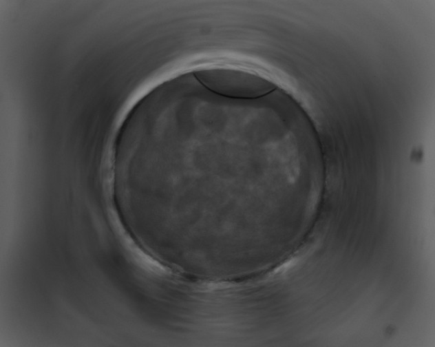 X0000101141522200807181243