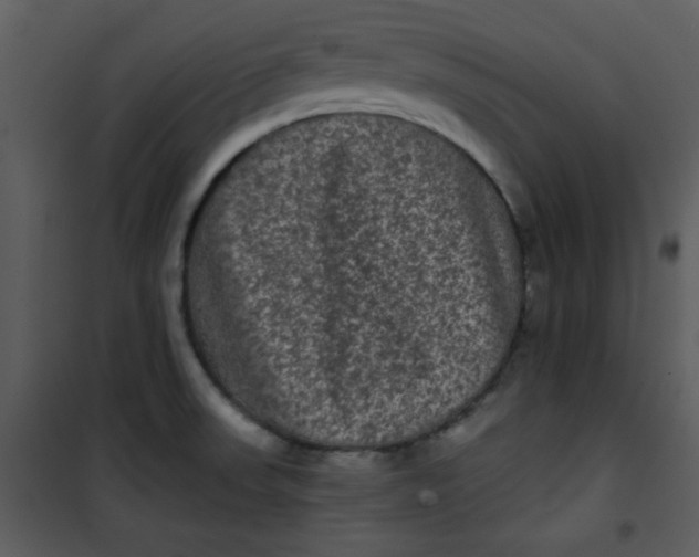 X0000101141523200807181243