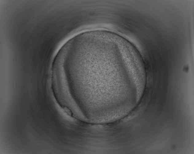 X0000101141524200807181243