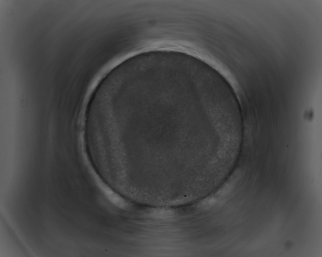 X0000101141525200807181243