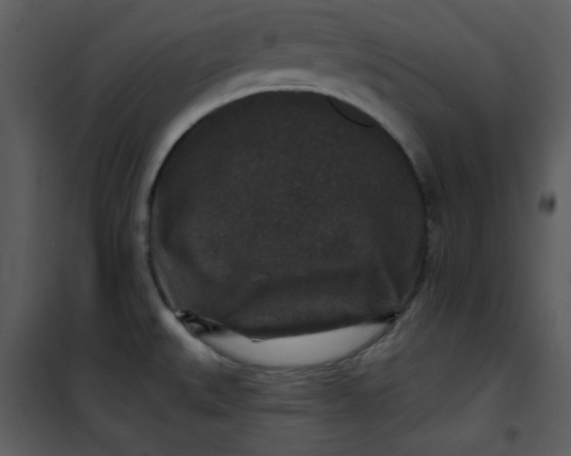 X0000101141527200807181243