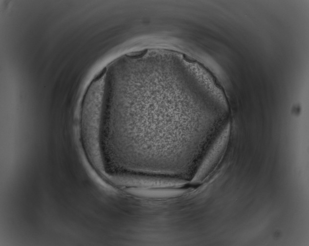 X0000101141528200807181243