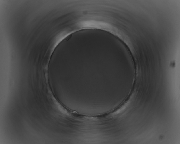 X0000101141529200807181243