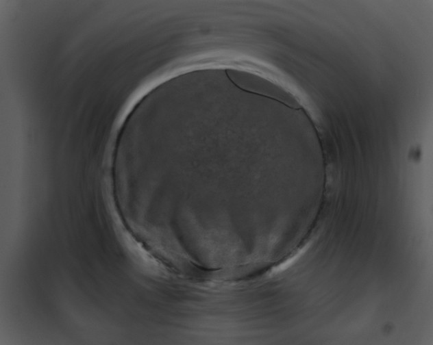 X0000101141530200807181243