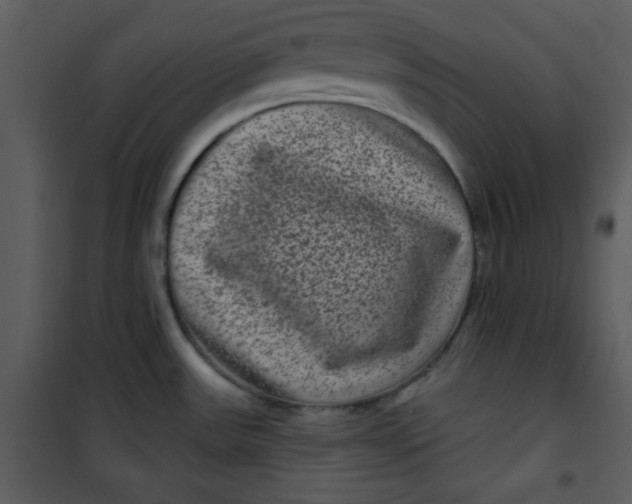 X0000101141531200807181243