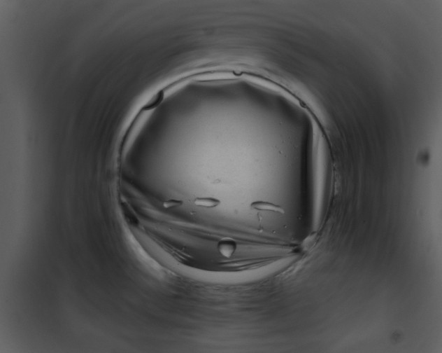 X0000101141532200807181243