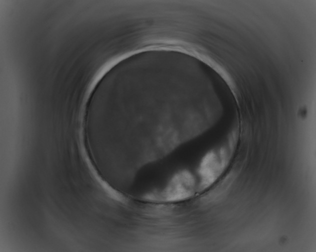 X0000101141533200807181243