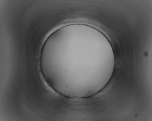 X0000101141534200807181243