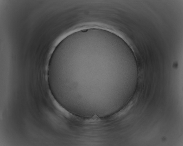 X0000101141535200807181243