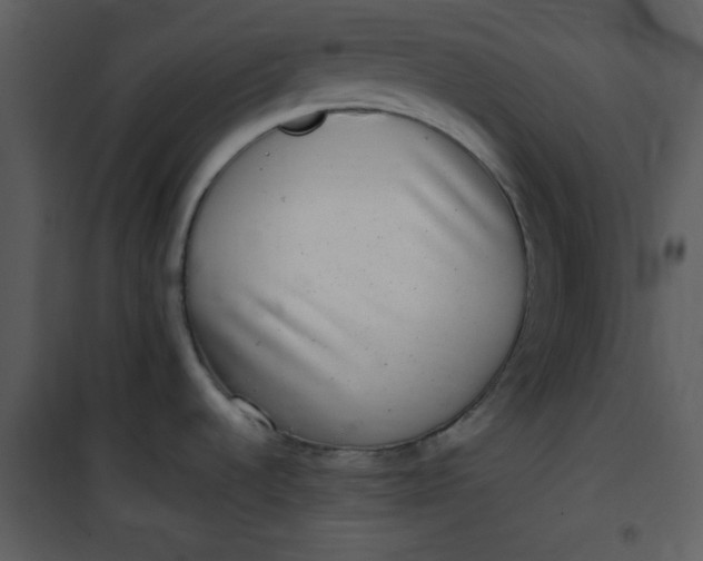 X0000101141536200807181243