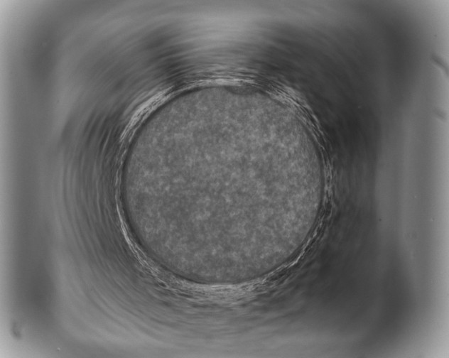 X0000101140001200807251036