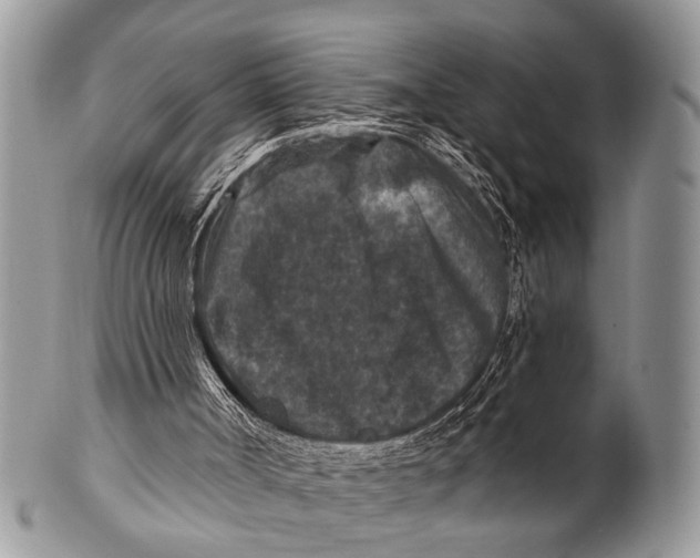 X0000101140002200807251036