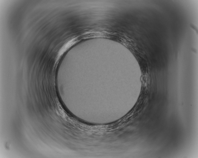 X0000101140004200807251036