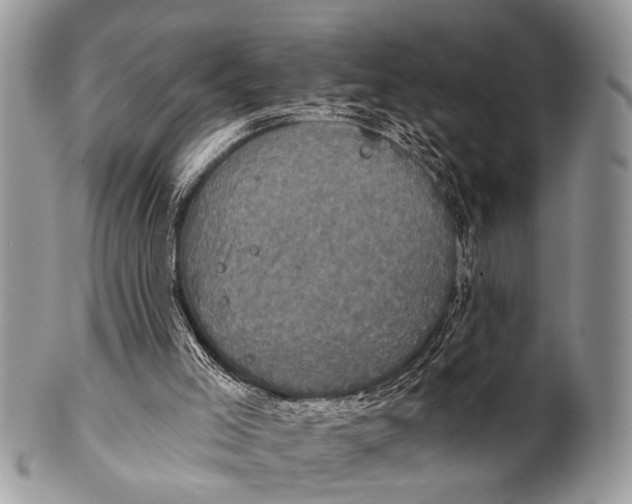 X0000101140005200807251036