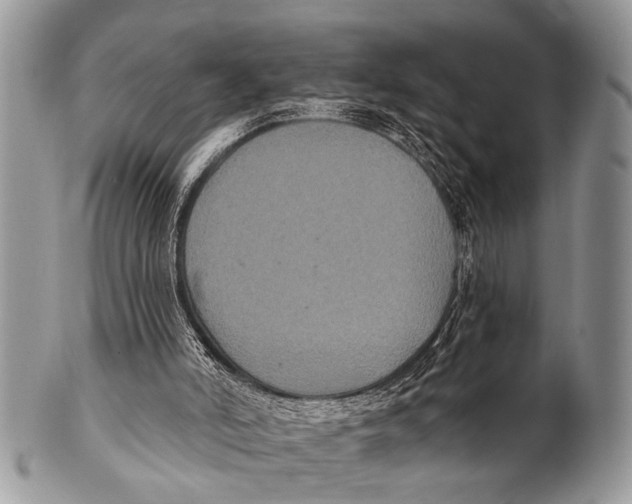 X0000101140006200807251036