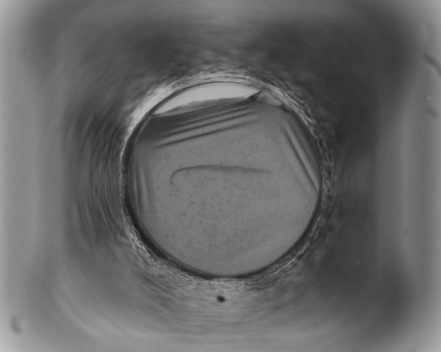 X0000101140008200807251036