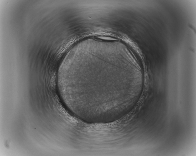 X0000101140009200807251036