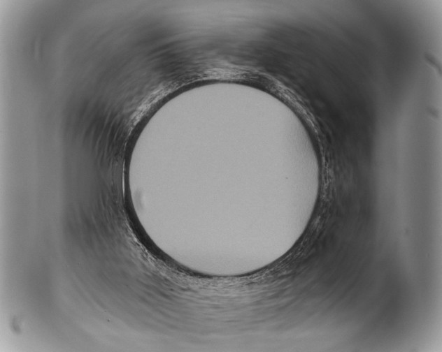 X0000101140011200807251036