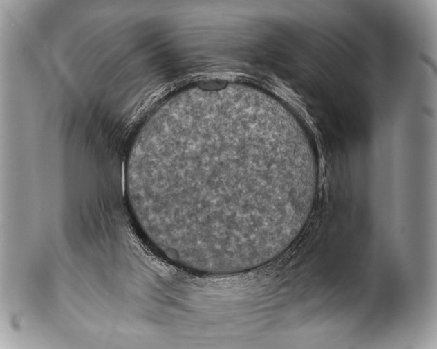 X0000101140013200807251036