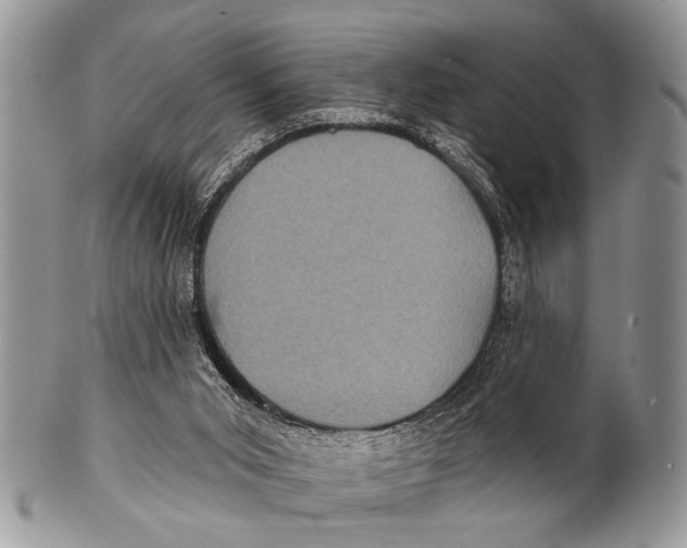 X0000101140015200807251036