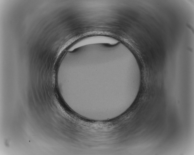 X0000101140016200807251036