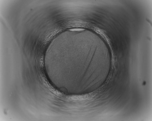 X0000101140017200807251036