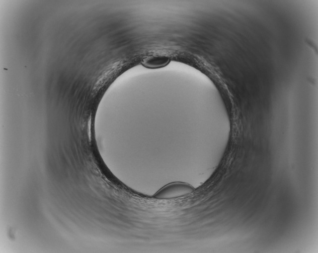 X0000101140019200807251036