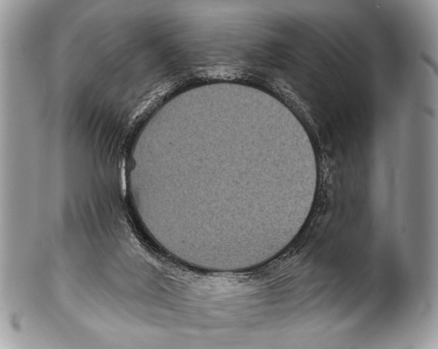 X0000101140020200807251036