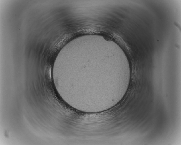 X0000101140021200807251036