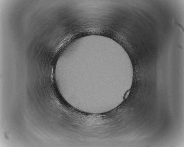 X0000101140024200807251036