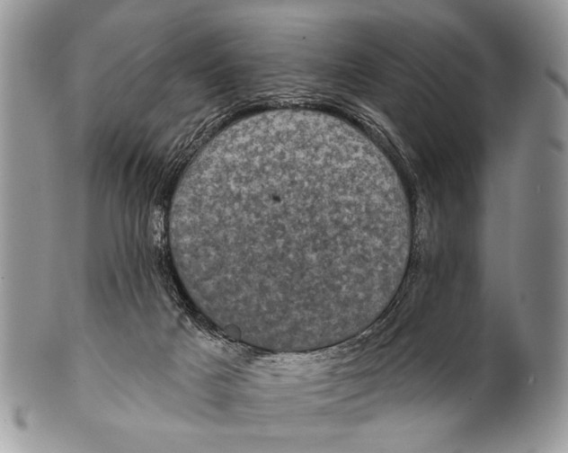 X0000101140025200807251036