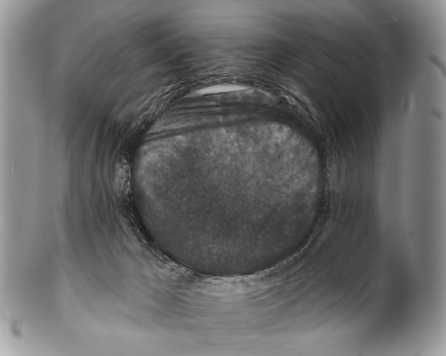 X0000101140029200807251036