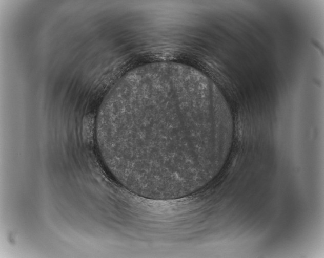 X0000101140030200807251036