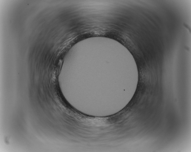 X0000101140032200807251036