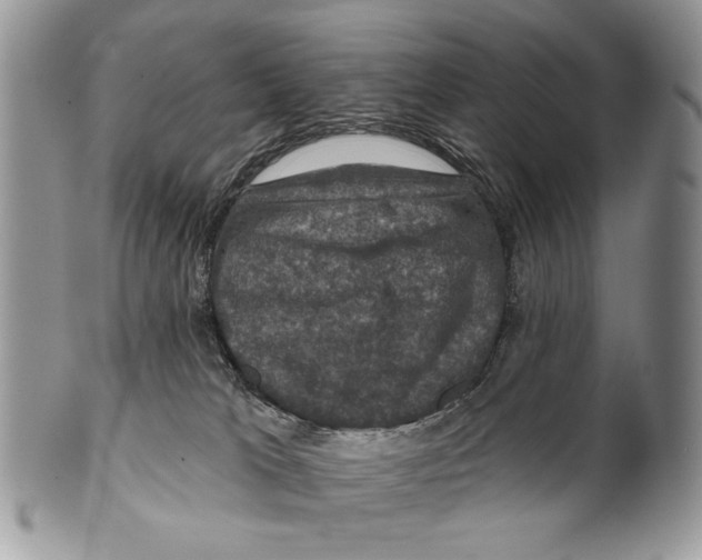 X0000101140037200807251036