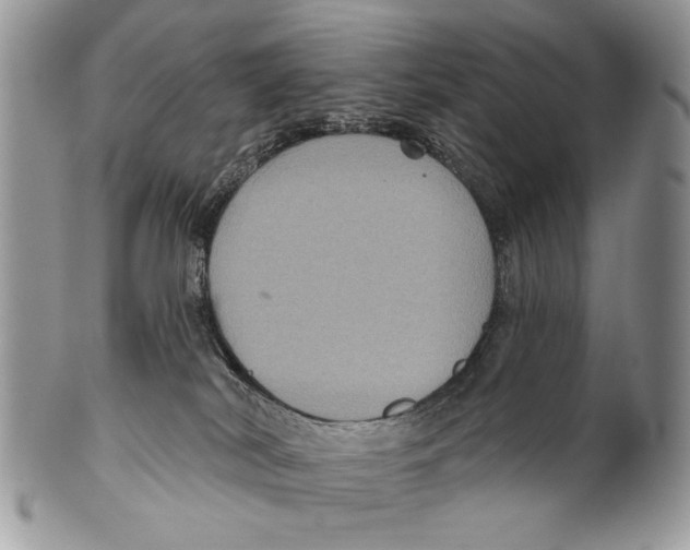 X0000101140038200807251036