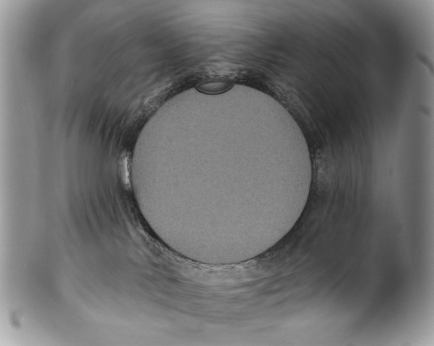 X0000101140042200807251036