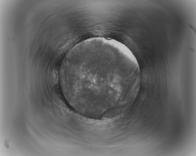 X0000101140043200807251036