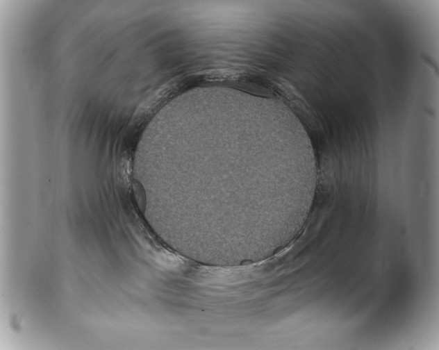 X0000101140045200807251036