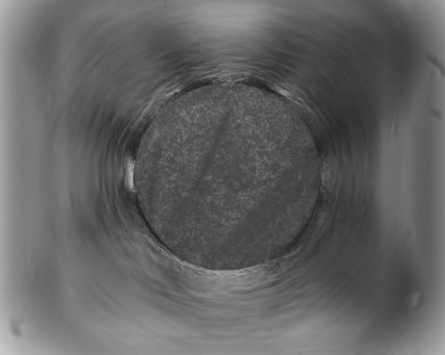 X0000101140046200807251036