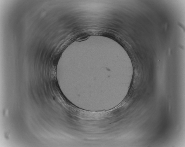 X0000101140048200807251036