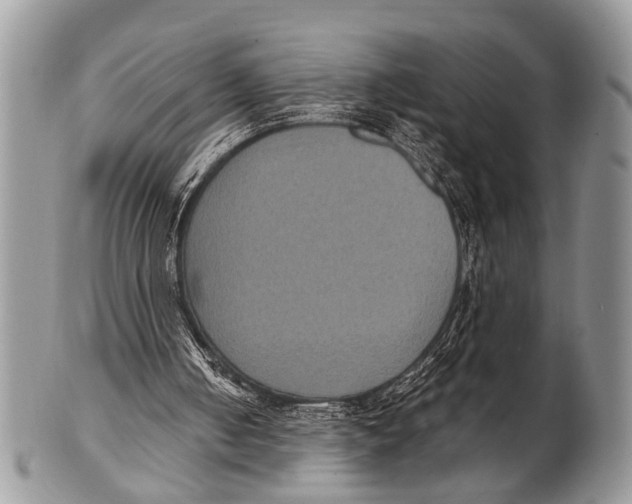 X0000101140050200807251035