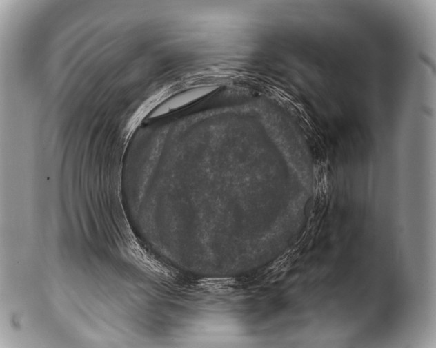 X0000101140051200807251035