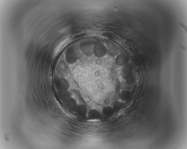 X0000101140053200807251035