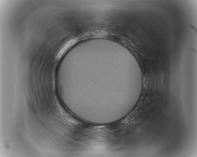 X0000101140054200807251035