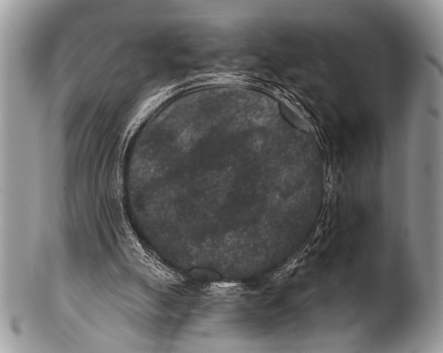 X0000101140055200807251035