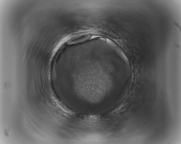 X0000101140056200807251035