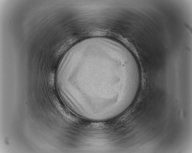 X0000101140057200807251035